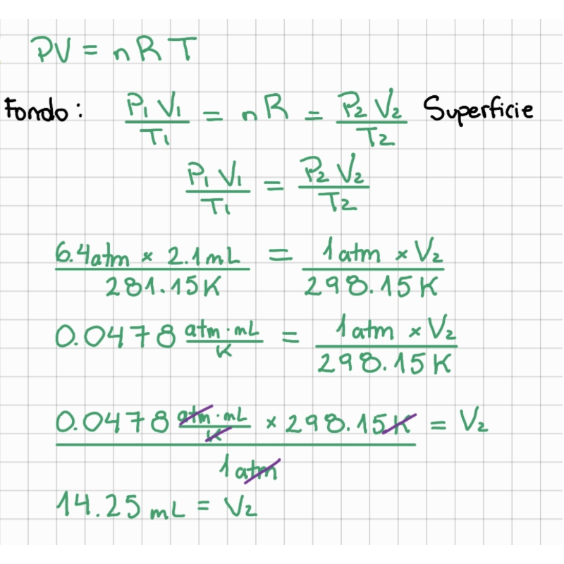 ejercicio 12 Más de 20 Ejercicios Resueltos de Química General