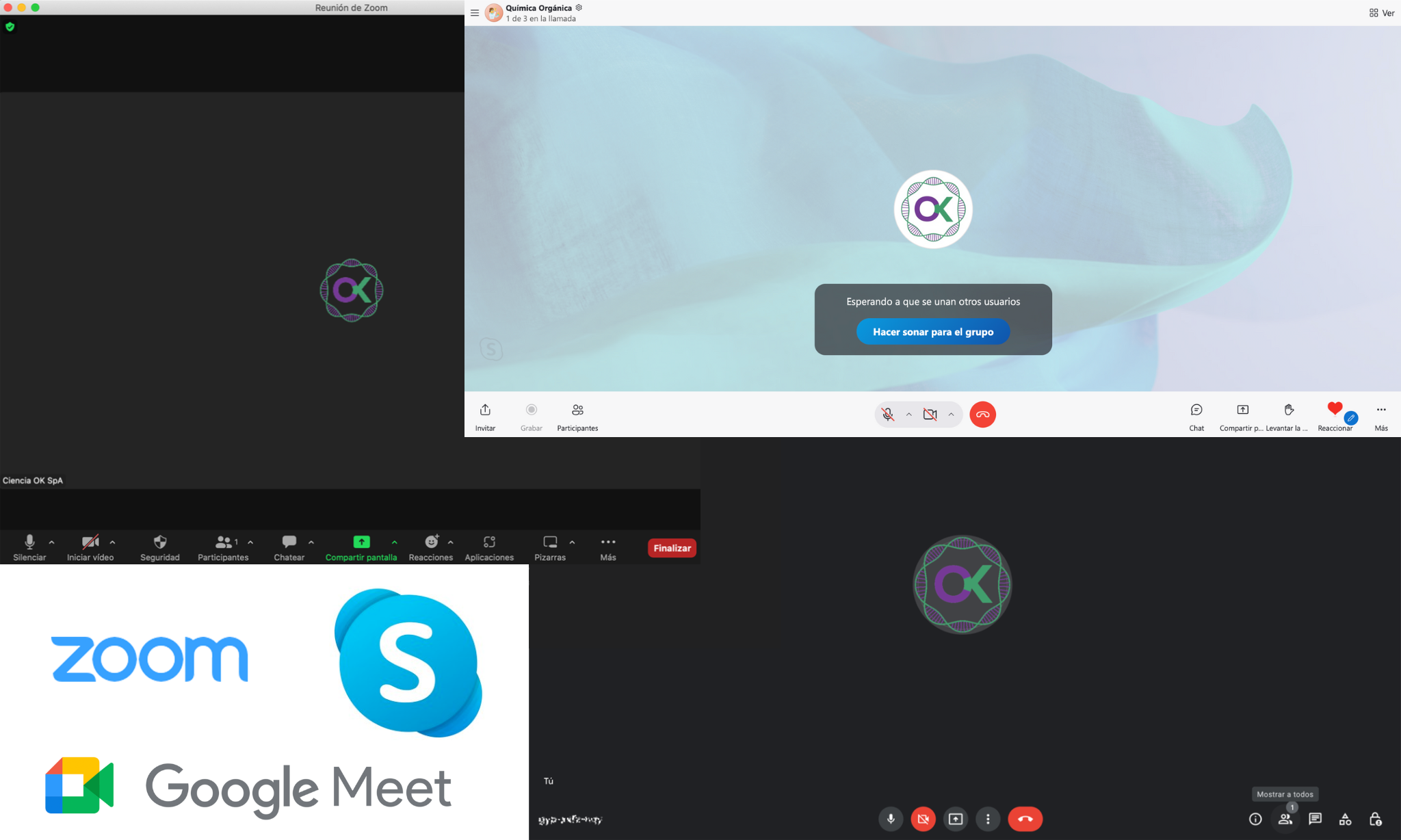 clases online skype google meet ciencia personalizadas particulares grupales individual universitarios media educación bioquímica biología fisiología
