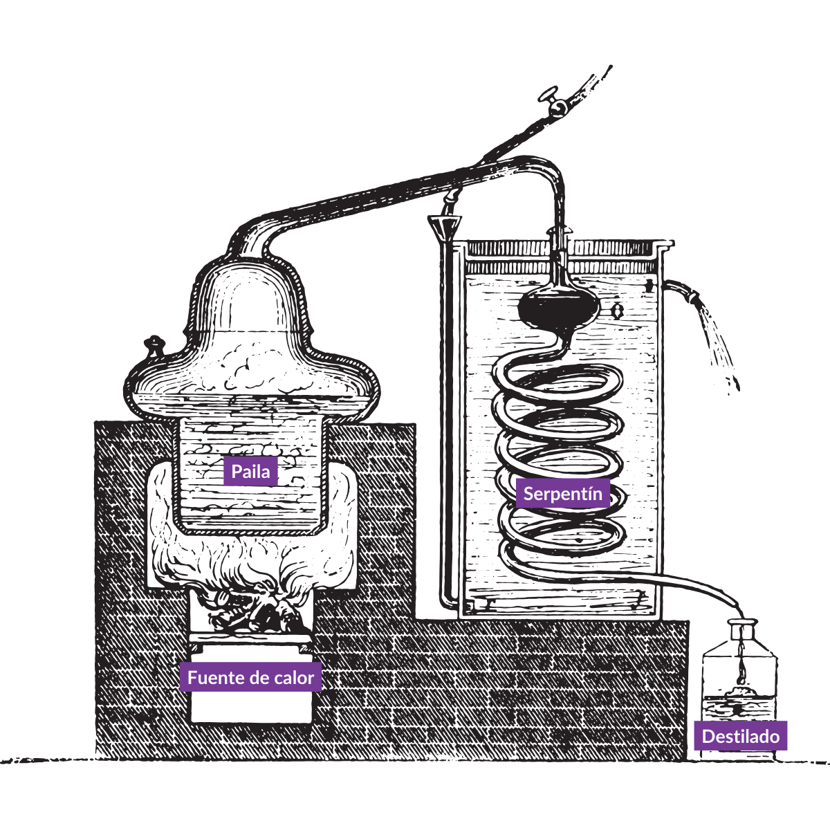 Alambique destilacion pisco chileno